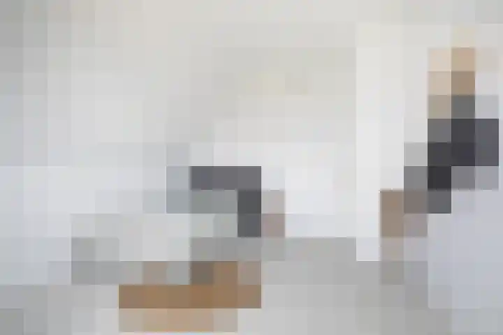 Troch de Koer 26 Deinum thumbnail 54