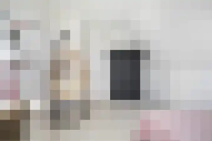Troch de Koer 26 Deinum thumbnail 57