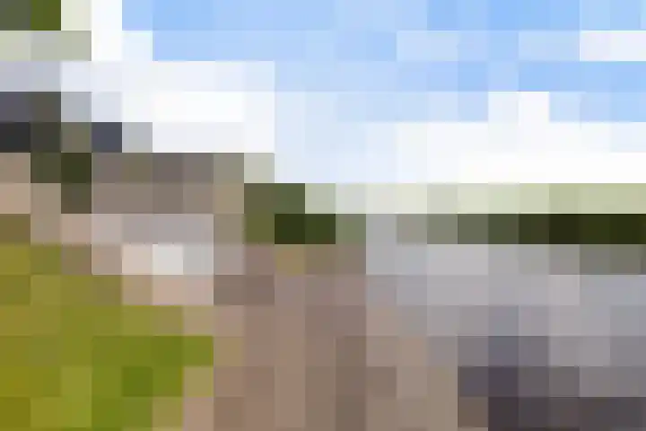 Troch de Koer 26 Deinum thumbnail 63