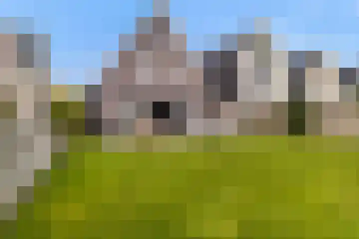 Troch de Koer 26 Deinum thumbnail 64