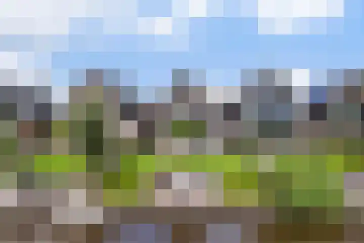 Troch de Koer 26 Deinum thumbnail 65