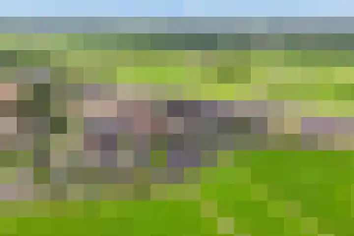 Troch de Koer 26 Deinum thumbnail 66