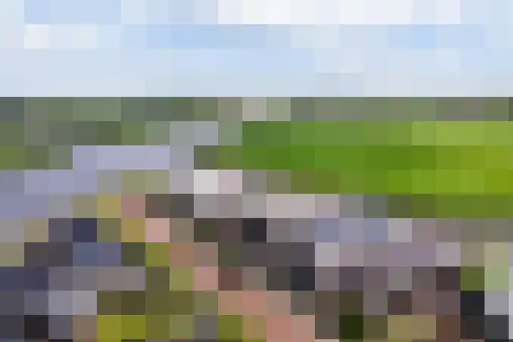 Troch de Koer 26 Deinum thumbnail 7