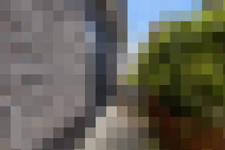 Troch de Koer 26 Deinum thumbnail 9