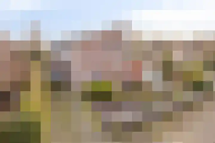 Trochietdijk 2 Roosendaal thumbnail 30