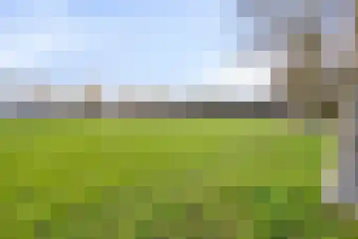Trochietdijk 2 Roosendaal thumbnail 33
