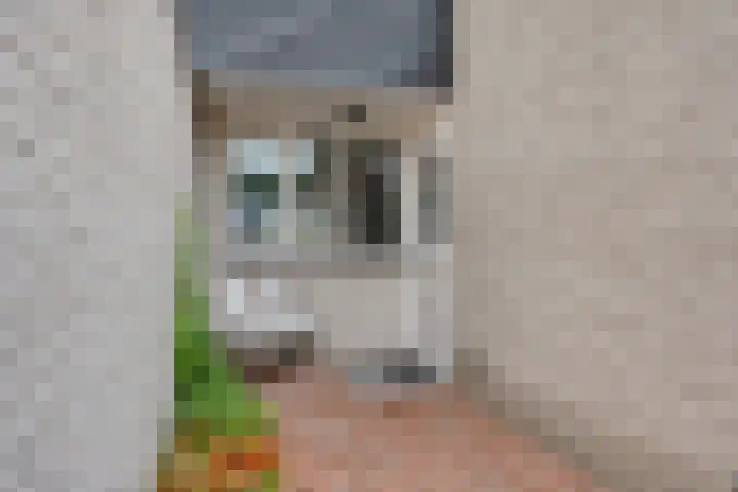 Troelstradreef 32 's-Hertogenbosch thumbnail 32