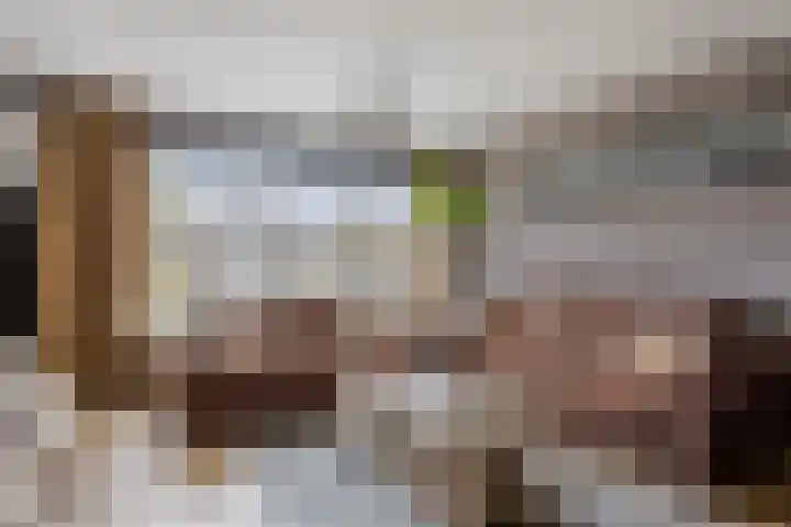 Troelstradreef 52 's-Hertogenbosch thumbnail 14