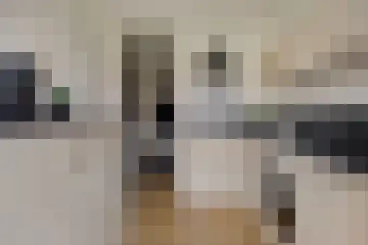 Troelstradreef 52 's-Hertogenbosch thumbnail 19