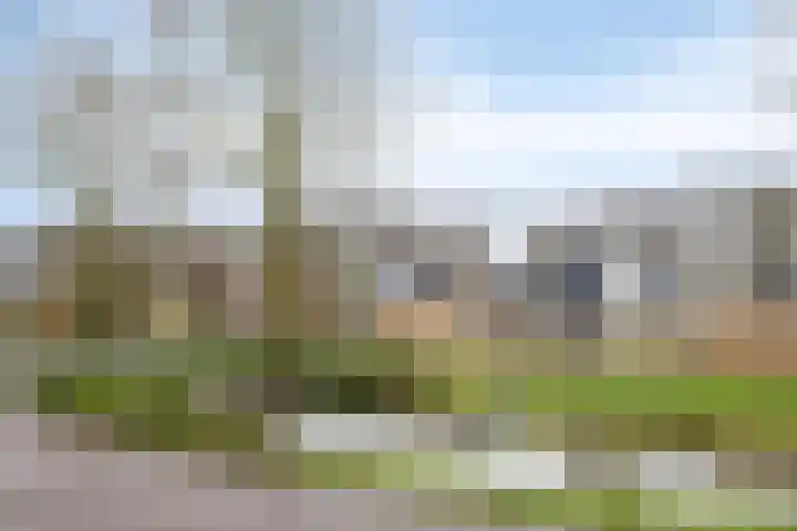 Troelstradreef 52 's-Hertogenbosch thumbnail 21