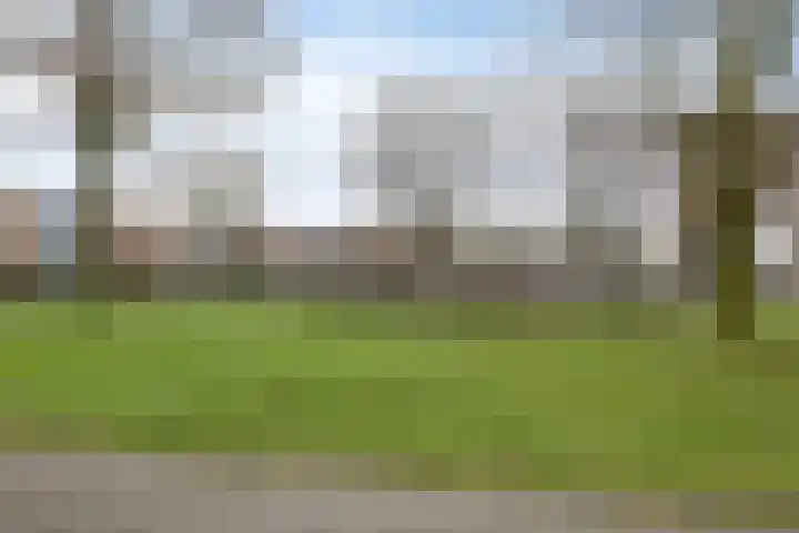 Troelstradreef 52 's-Hertogenbosch thumbnail 29