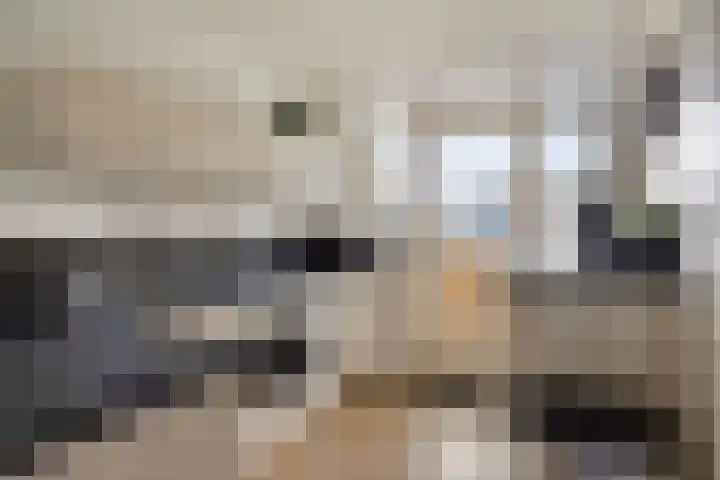 Troelstradreef 52 's-Hertogenbosch thumbnail 4