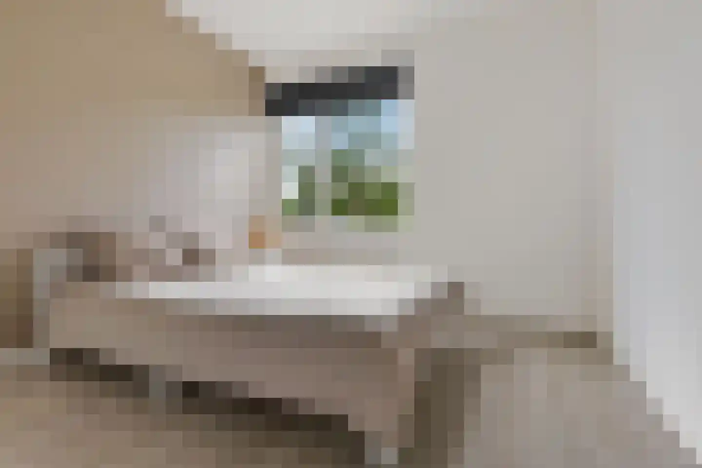 Troelstradreef 74 's-Hertogenbosch thumbnail 17