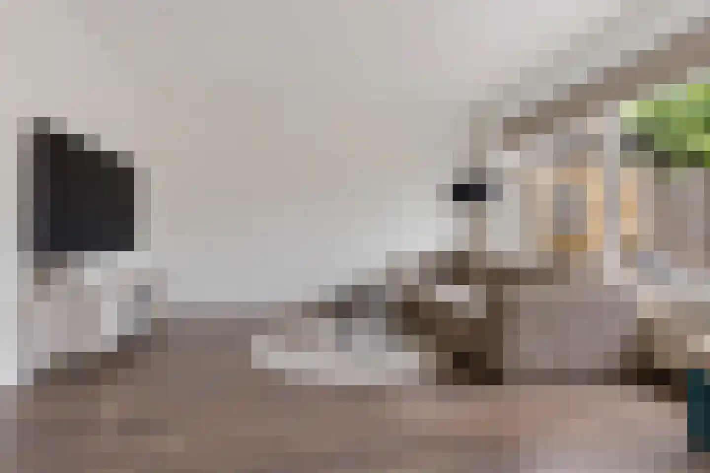 Troelstradreef 74 's-Hertogenbosch thumbnail 4