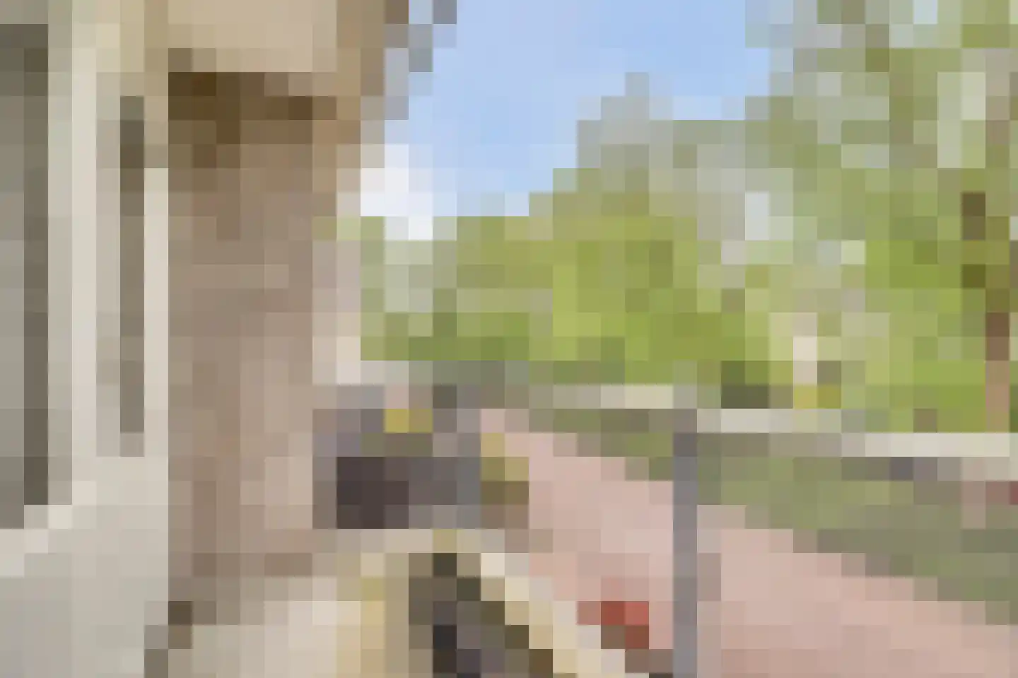 Troelstrahoeve 37 Waddinxveen thumbnail 28