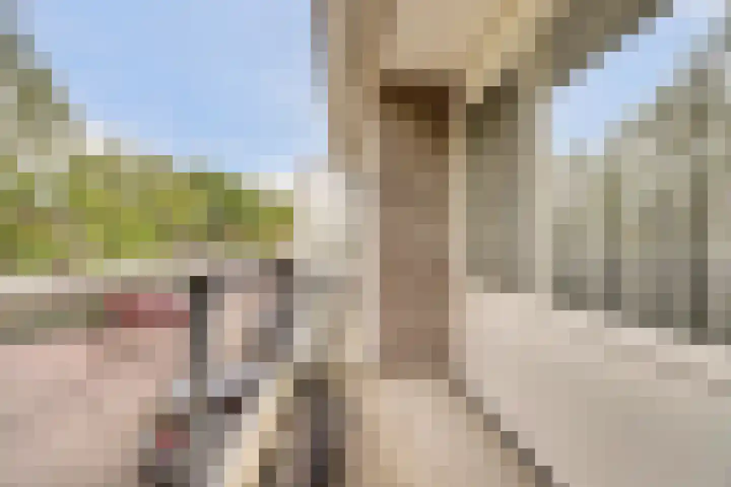 Troelstrahoeve 37 Waddinxveen thumbnail 29