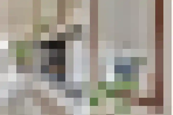 Troelstrahoeve 51 Waddinxveen thumbnail 11
