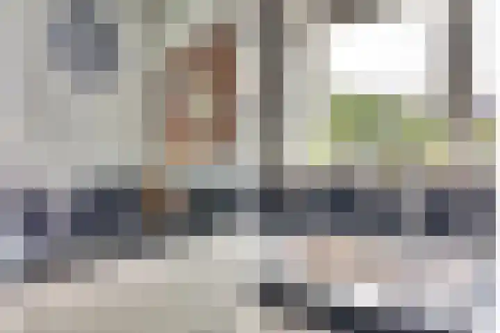 Troelstrahoeve 51 Waddinxveen thumbnail 18