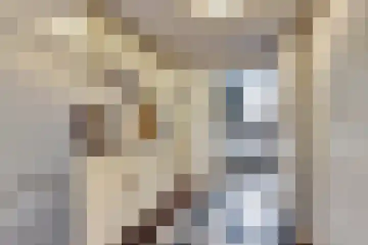 Troelstrahoeve 51 Waddinxveen thumbnail 20
