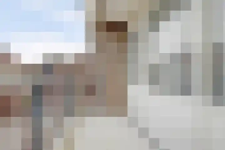 Troelstrahoeve 51 Waddinxveen thumbnail 28