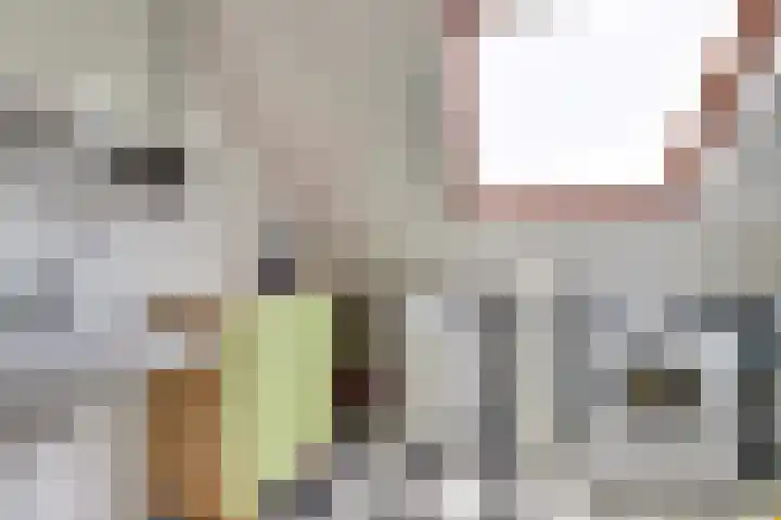 Troelstrahoeve 51 Waddinxveen thumbnail 36