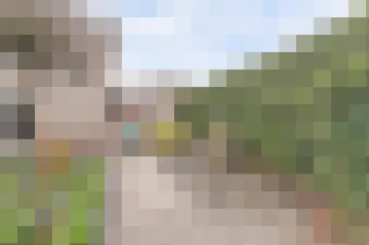 Troelstrahoeve 51 Waddinxveen thumbnail 44