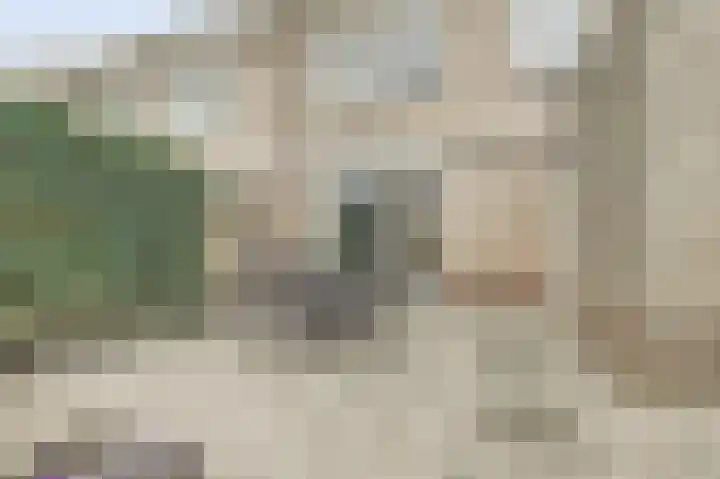 Troelstrahoeve 51 Waddinxveen thumbnail 45