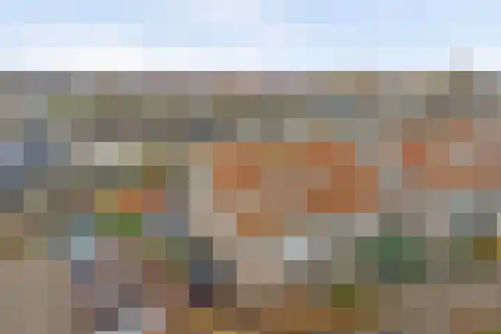 Troelstrahoeve 51 Waddinxveen thumbnail 51
