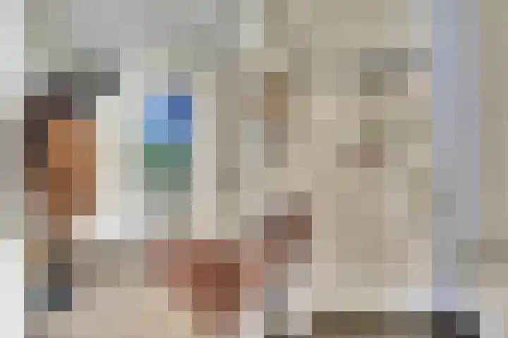 Troelstrahoeve 51 Waddinxveen thumbnail 8