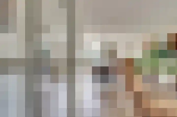 Troelstrahoeve 51 Waddinxveen thumbnail 9