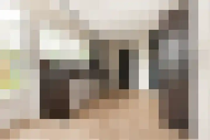 Troelstrahof 17 Wezep thumbnail 18