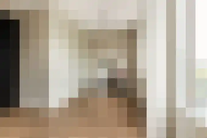 Troelstrahof 17 Wezep thumbnail 31