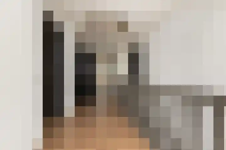 Troelstrahof 17 Wezep thumbnail 35