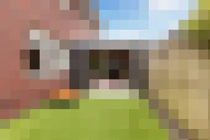 Troelstrahof 17 Wezep thumbnail 47