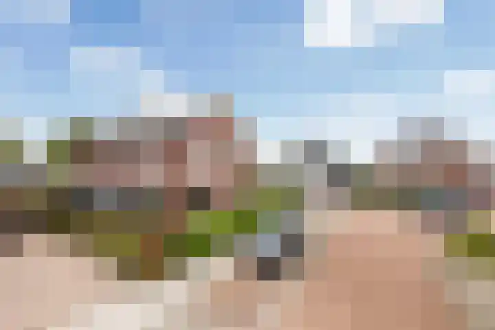 Troelstrahof 17 Wezep thumbnail 5