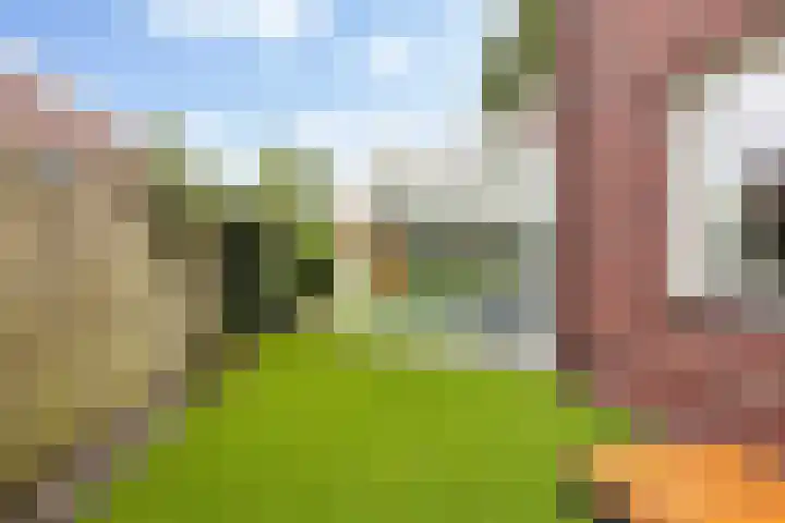 Troelstrahof 17 Wezep thumbnail 50