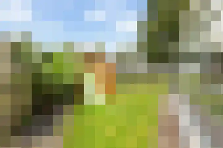 Troelstrahof 17 Wezep thumbnail 51