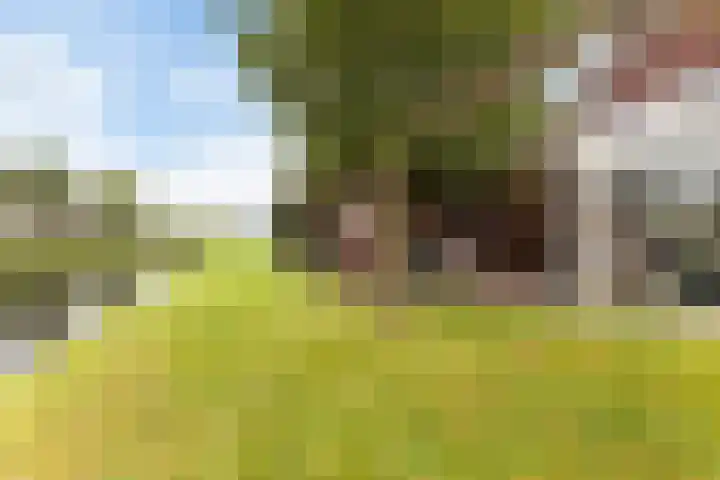 Troelstrahof 17 Wezep thumbnail 52