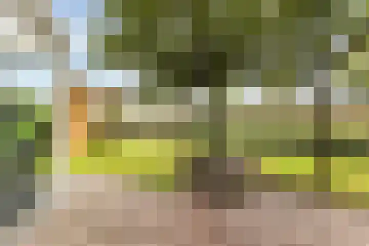 Troelstrahof 17 Wezep thumbnail 53