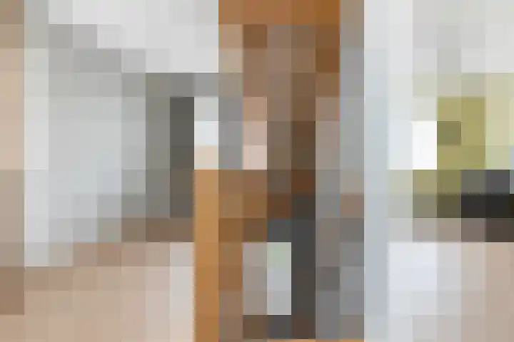 Troelstrahof 23 Wezep thumbnail 31