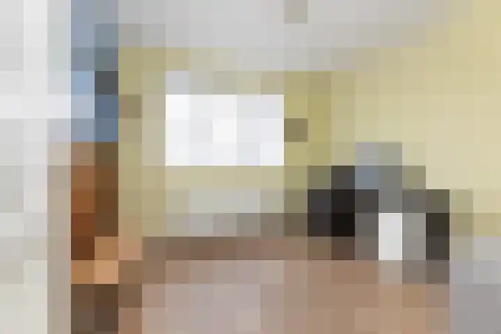 Troelstrahof 23 Wezep thumbnail 33