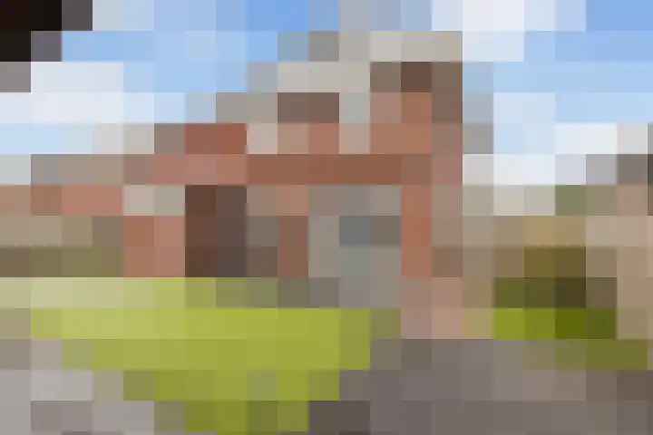 Troelstrahof 23 Wezep thumbnail 46