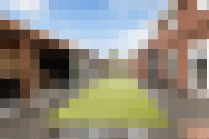 Troelstrahof 23 Wezep thumbnail 47
