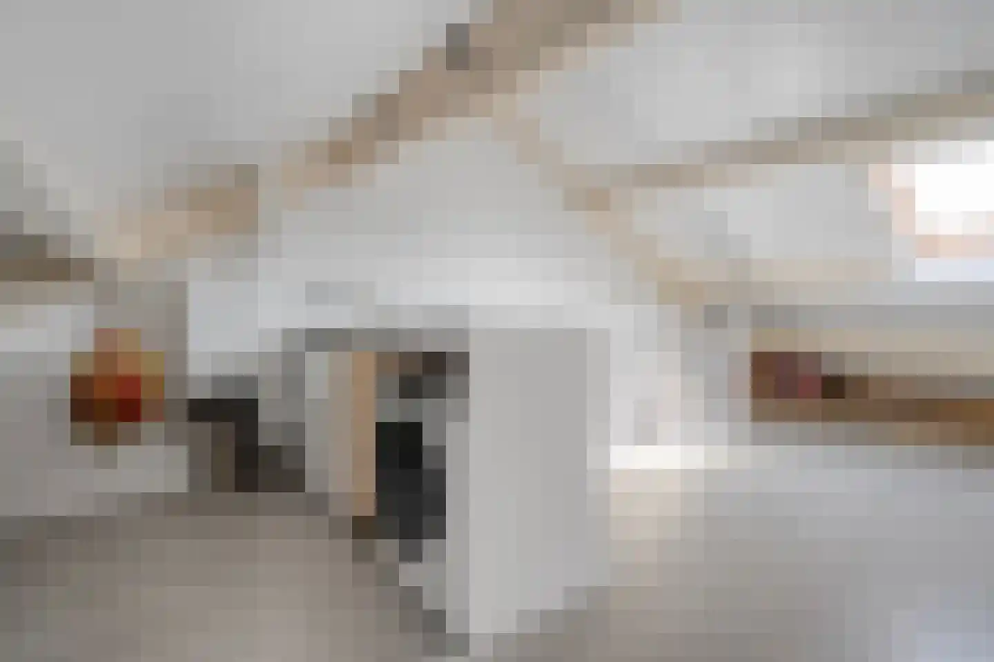 Troelstrahof 46 Wezep thumbnail 25