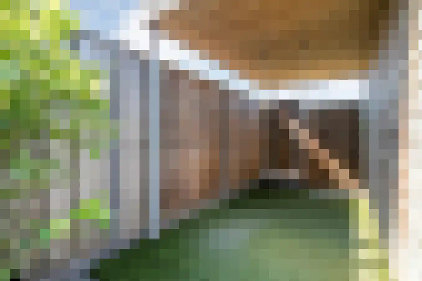 Troelstrahof 46 Wezep thumbnail 31