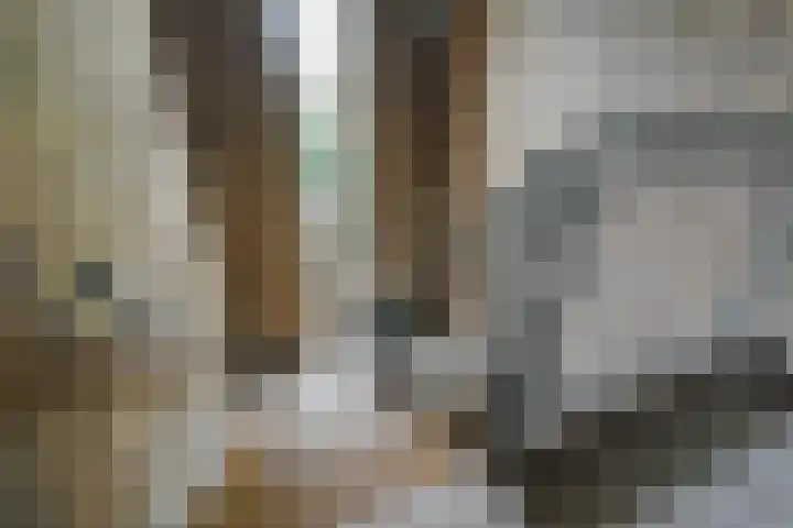 Troelstrakade 113 Den Haag thumbnail 10