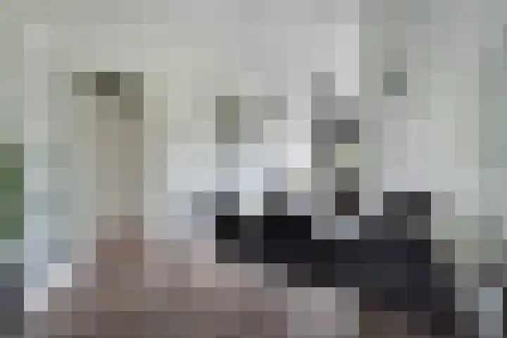 Troelstrakade 113 Den Haag thumbnail 16