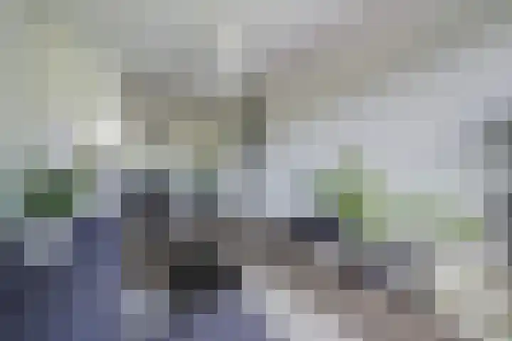 Troelstrakade 113 Den Haag thumbnail 17