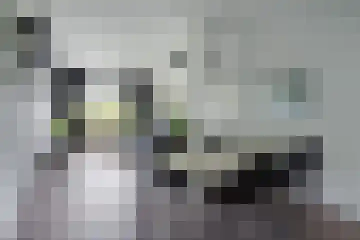 Troelstrakade 113 Den Haag thumbnail 18