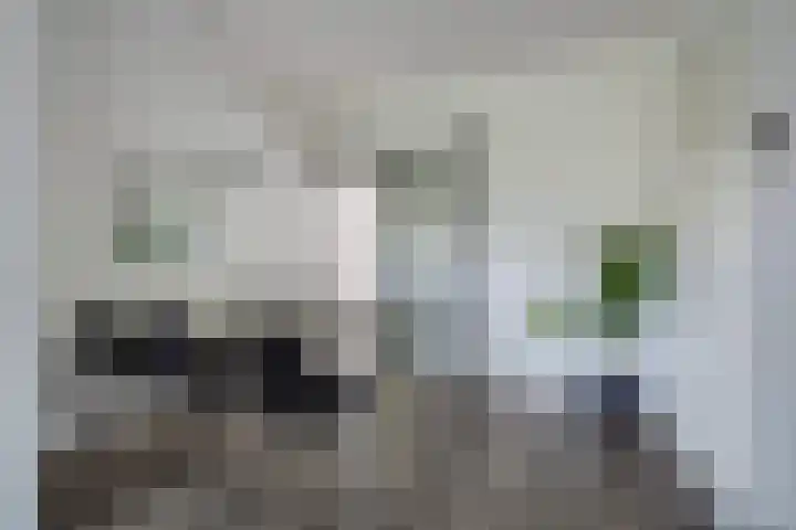 Troelstrakade 113 Den Haag thumbnail 19